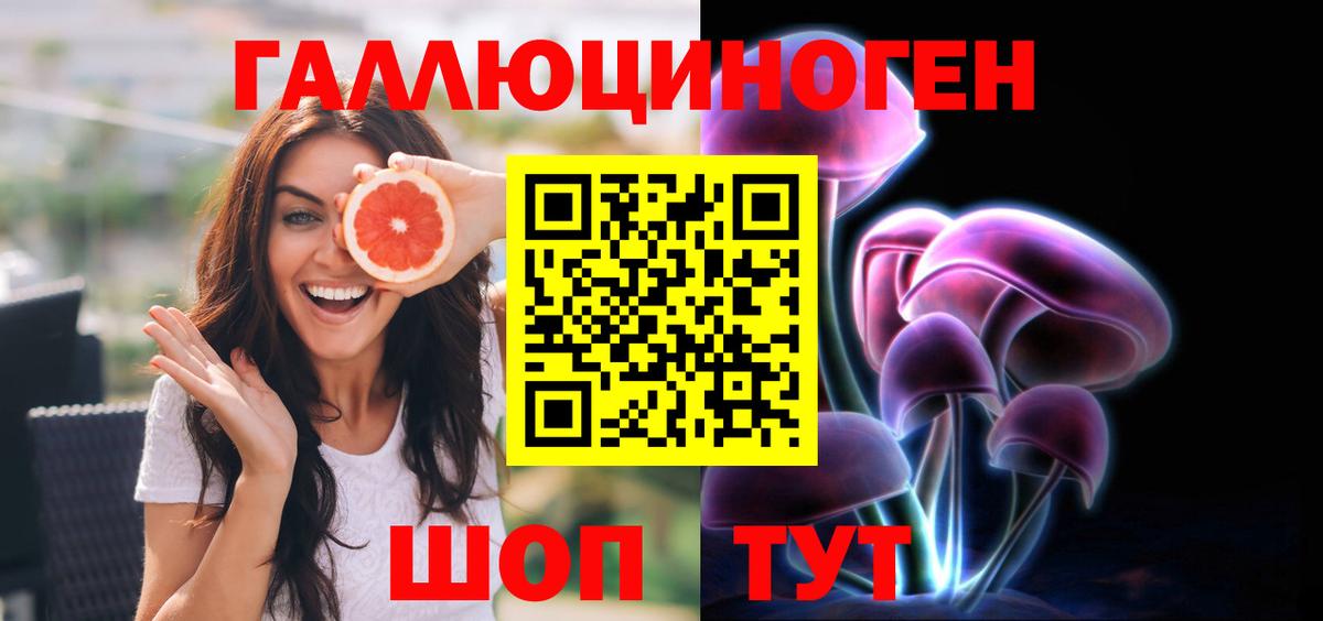 Осинники  Галлюциногенные грибы мицелий  Вход с VPN  Галлюциногенные грибы прущие грибы 